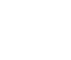 Expo Overland